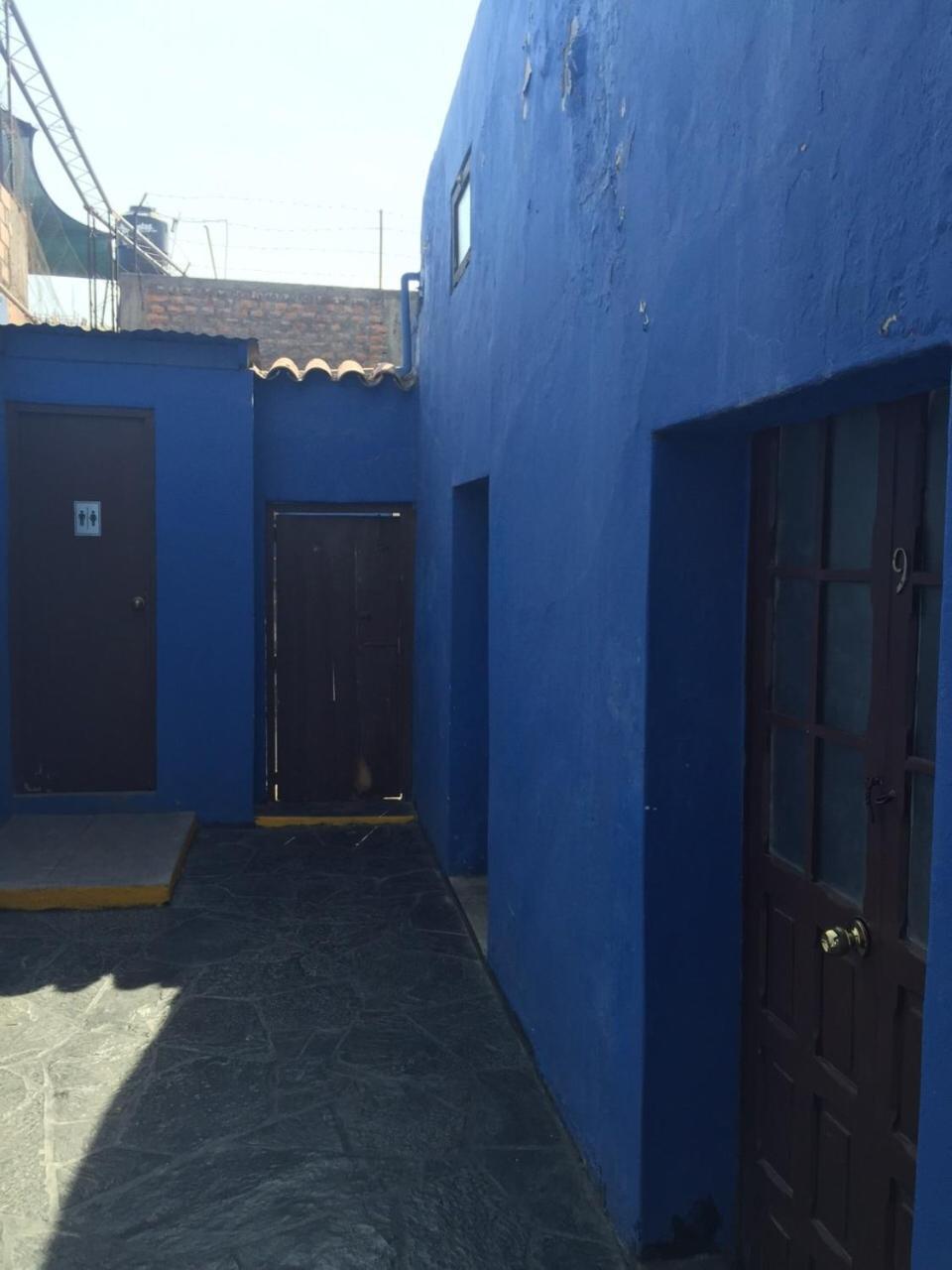 Flying Dog Hostel Arequipa Exterior photo